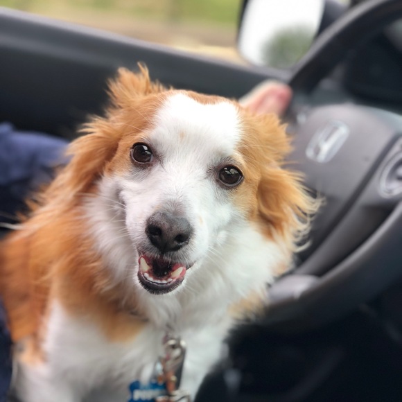 Meet your Posher, Mary - Picture 1 of 1